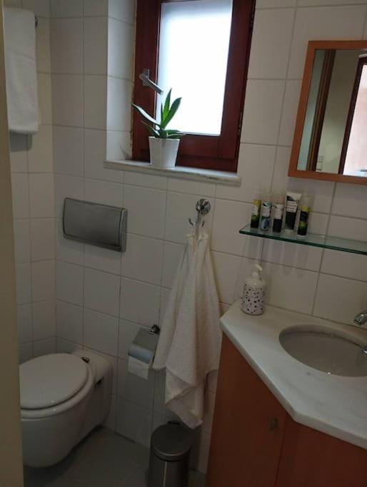 Apartment Flat In Chania With House Pool